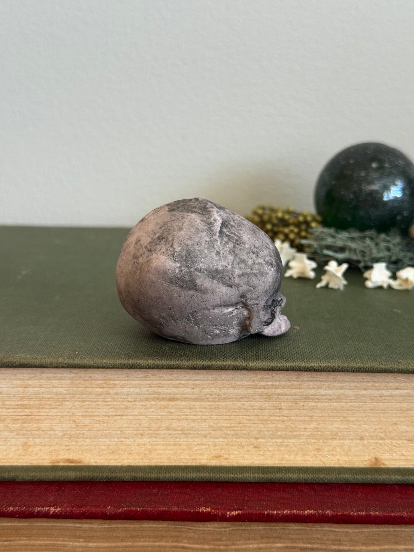 Skull statue - Serpent’s Whisper XXV - VIII
