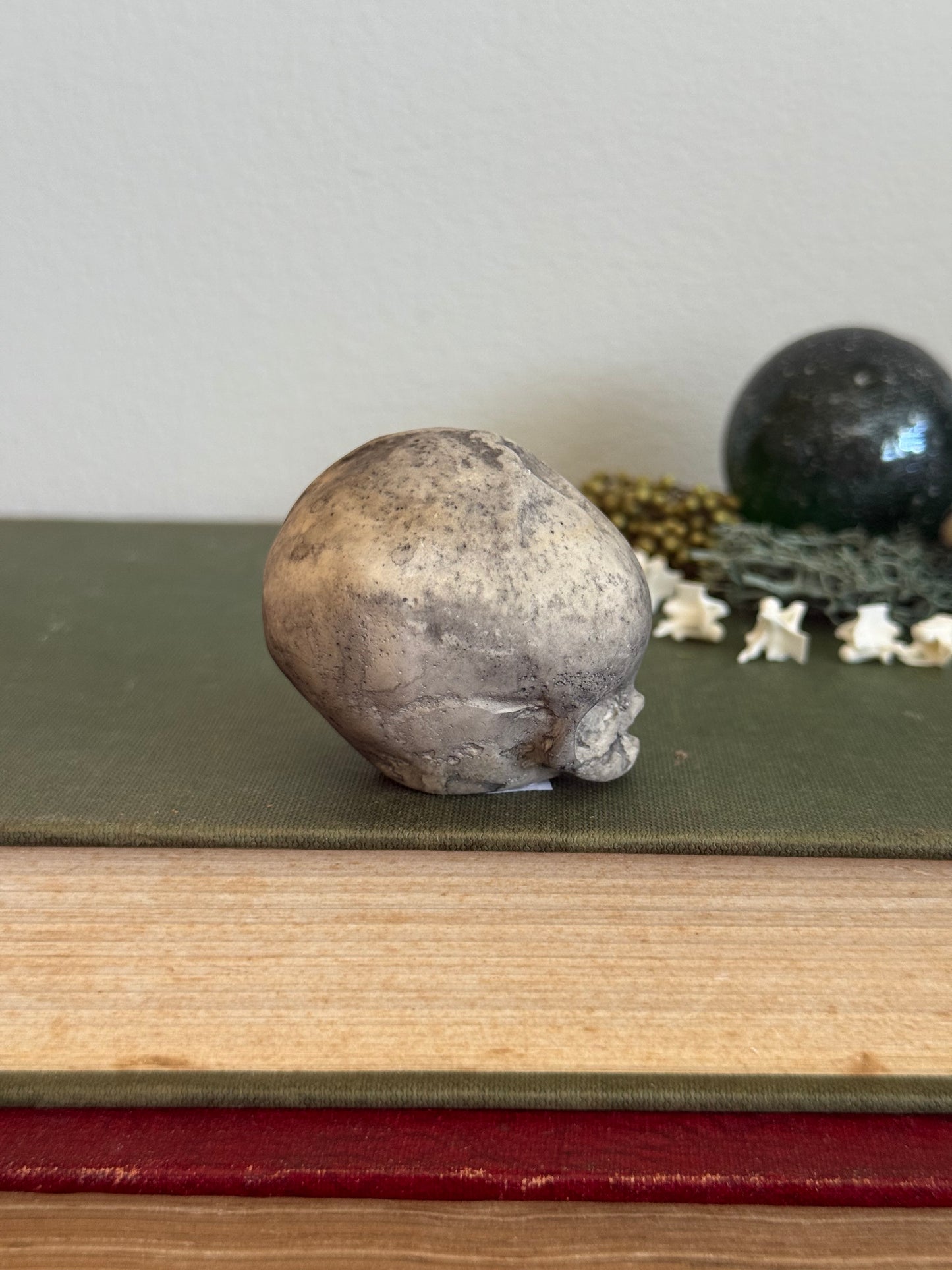 Skull statue - Serpent’s Whisper XXV - XII