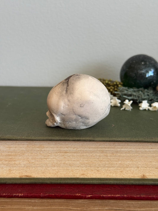 Skull statue - Serpent’s Whisper XXV - IV