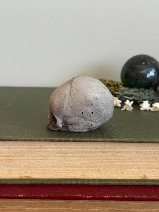 Skull statue - Serpent’s Whisper XXV - II