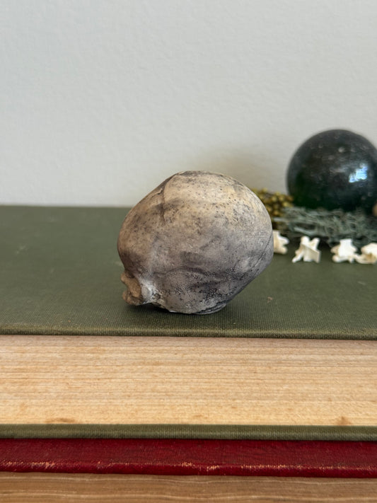 Skull statue - Serpent’s Whisper XXV - XII