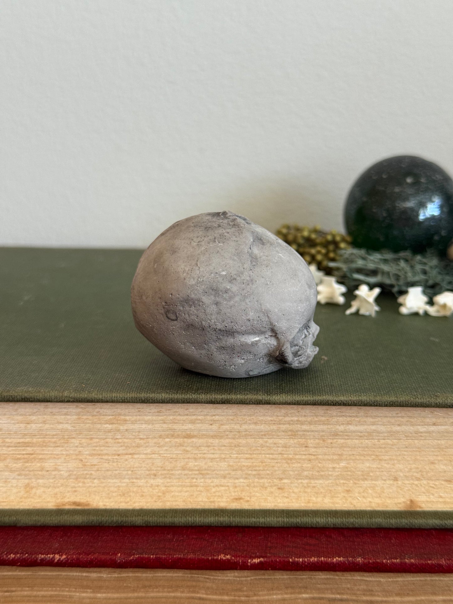 Skull statue - Serpent’s Whisper XXV - I