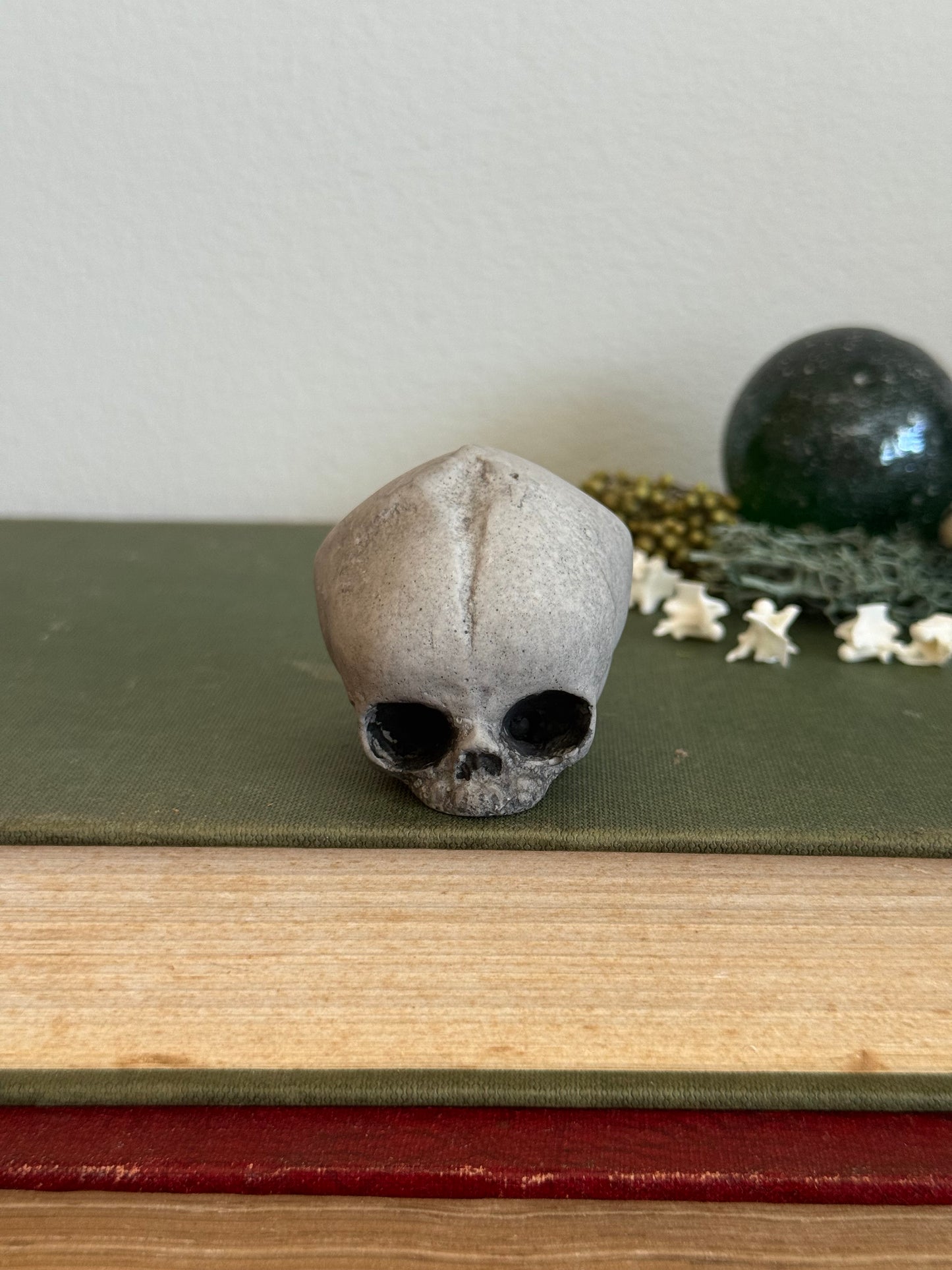 Skull statue - Serpent’s Whisper XXV - II