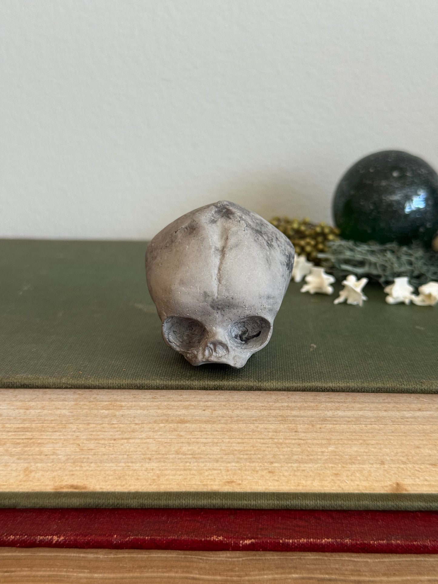 Skull statue - Serpent’s Whisper XXV - I