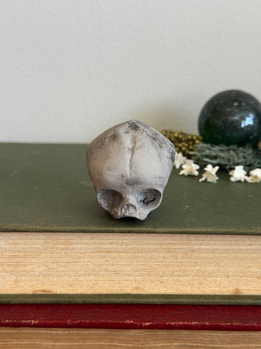 Skull statue - Serpent’s Whisper XXV - I
