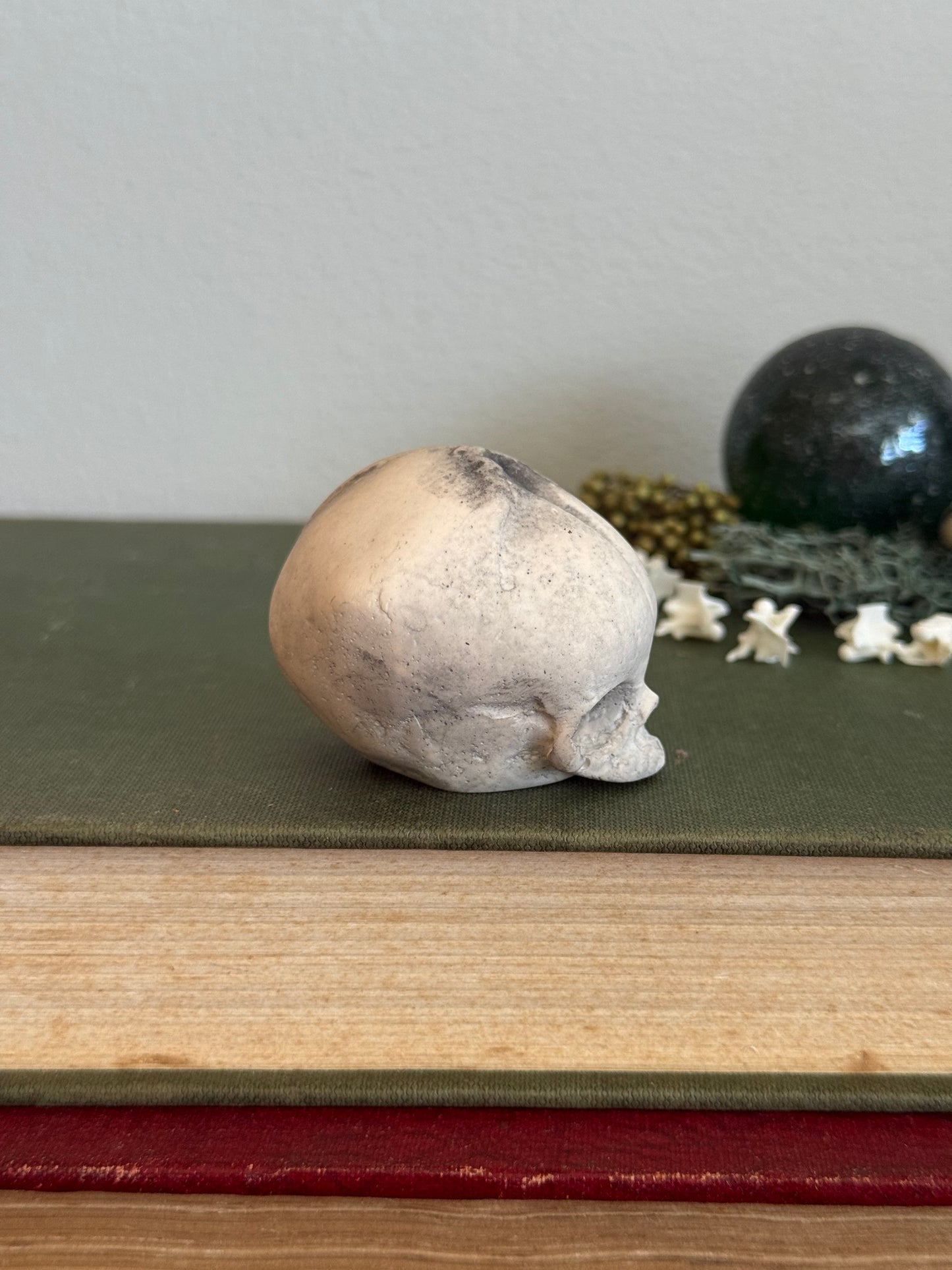 Skull statue - Serpent’s Whisper XXV - IV