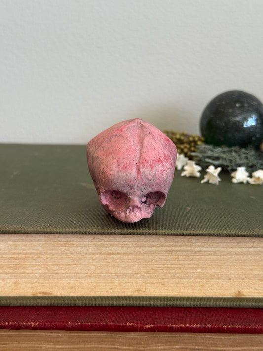 Skull statue - Serpent’s Whisper XXV - VI