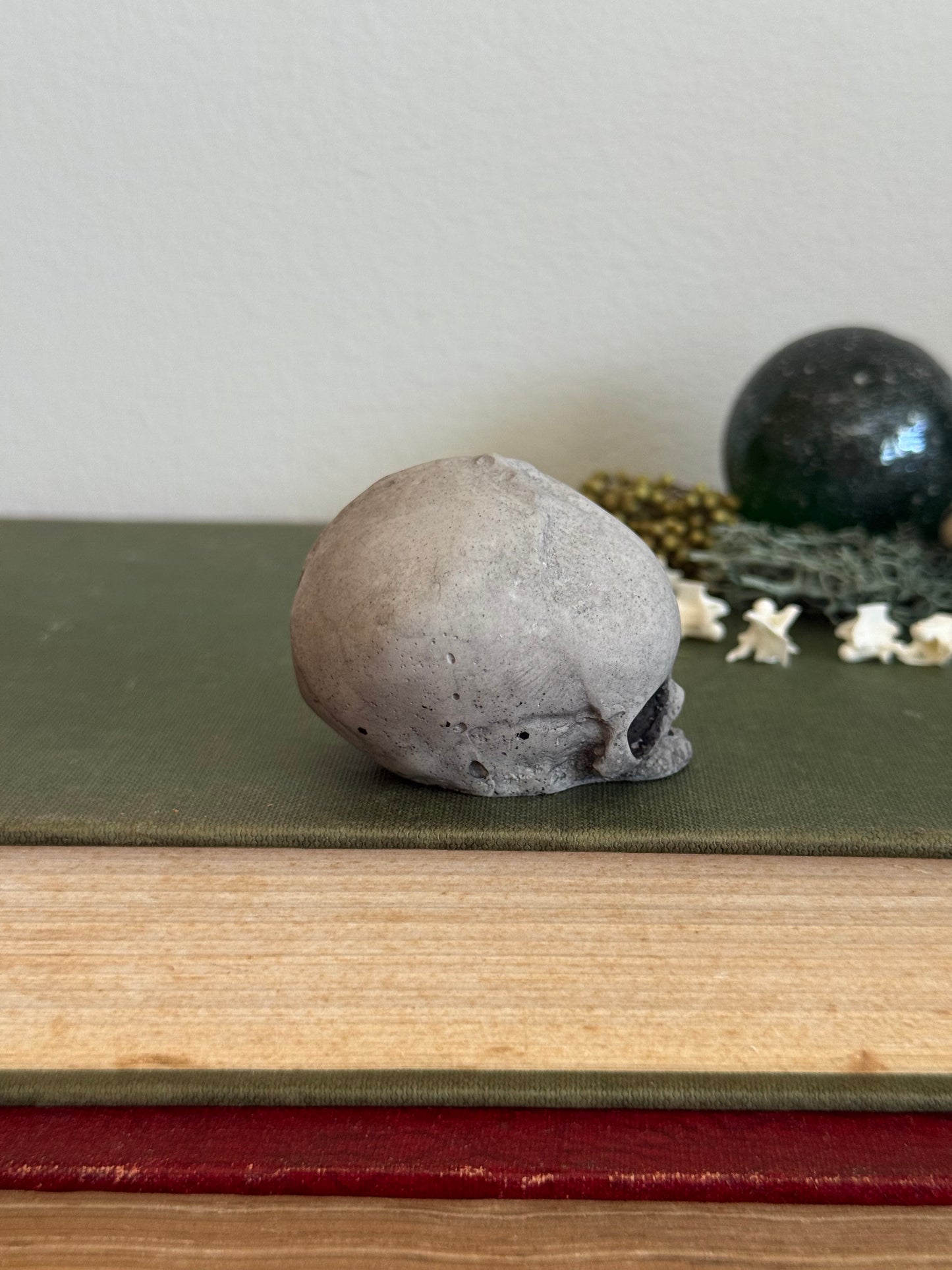 Skull statue - Serpent’s Whisper XXV - II