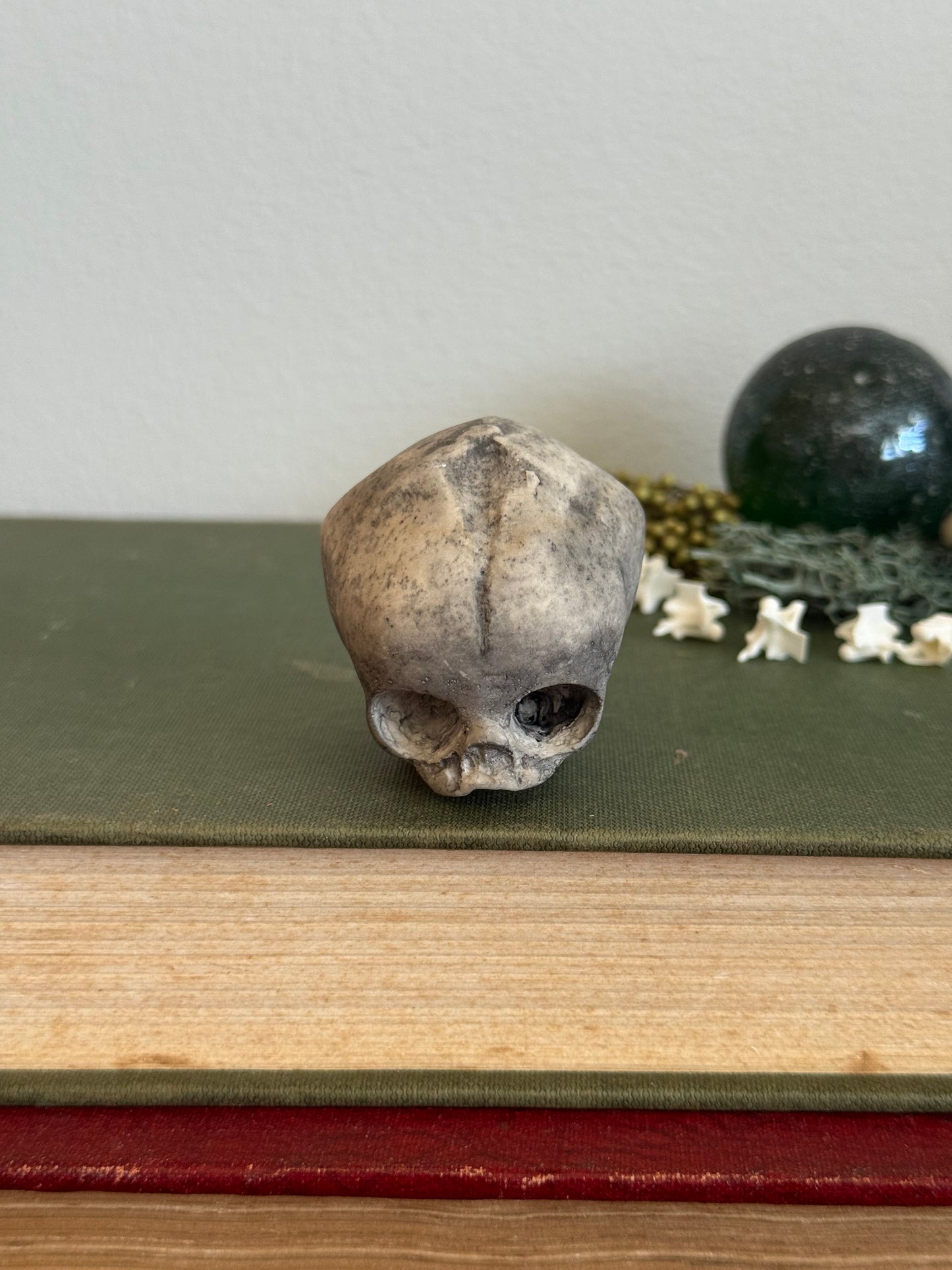 Skull statue - Serpent’s Whisper XXV - XII