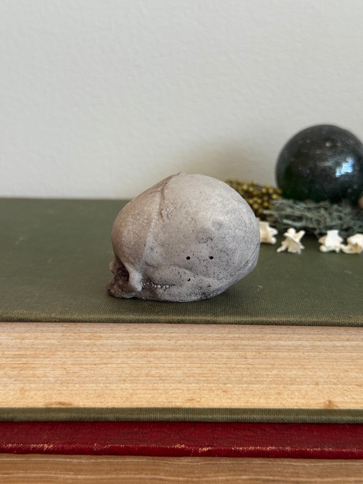 Skull statue - Serpent’s Whisper XXV - II