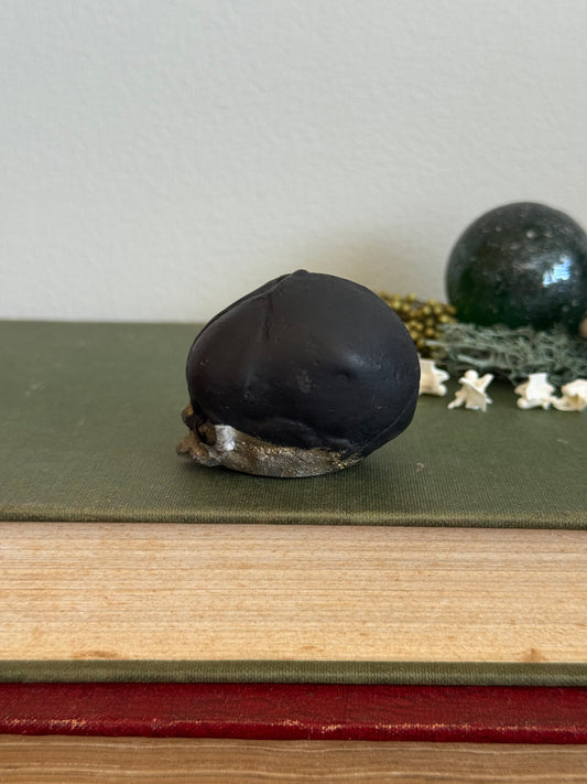 Skull statue - Serpent’s Whisper XXV - VII