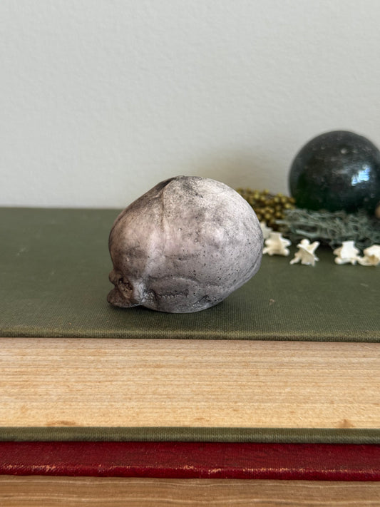 Skull statue - Serpent’s Whisper XXV - III