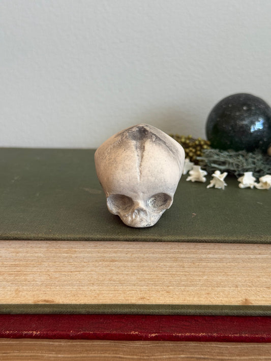 Skull statue - Serpent’s Whisper XXV - IV