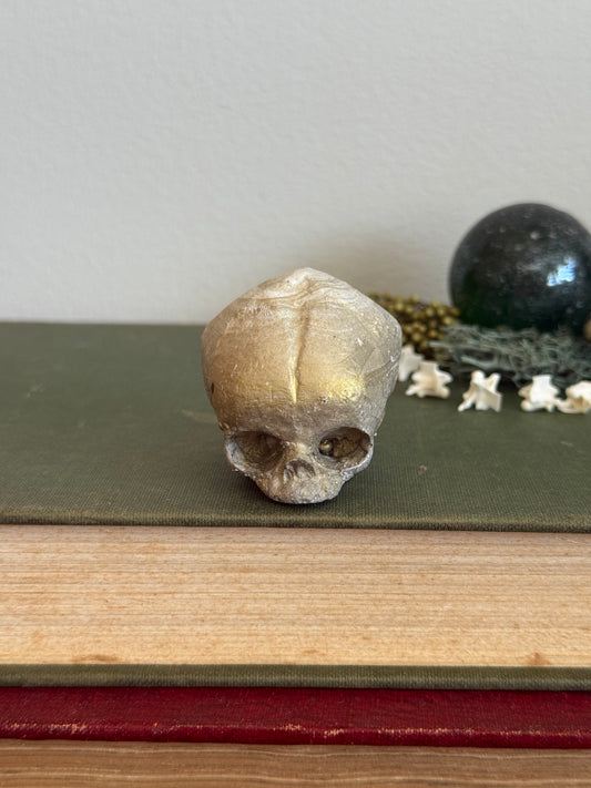 Skull statue - Serpent’s Whisper XXV - XIV