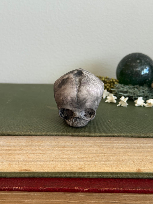 Skull statue - Serpent’s Whisper XXV - III