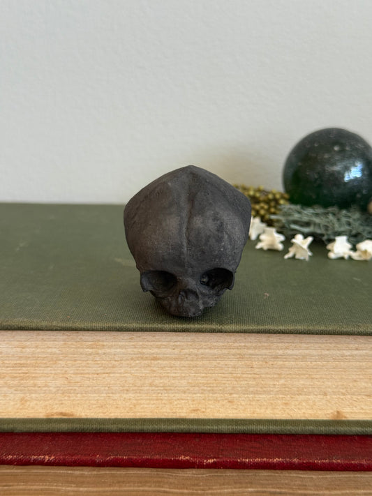 Skull statue - Serpent’s Whisper XXV - IX