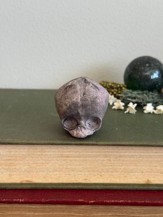 Skull statue - Serpent’s Whisper XXV - VIII