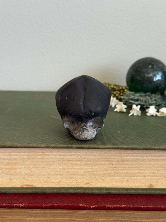 Skull statue - Serpent’s Whisper XXV - XIII
