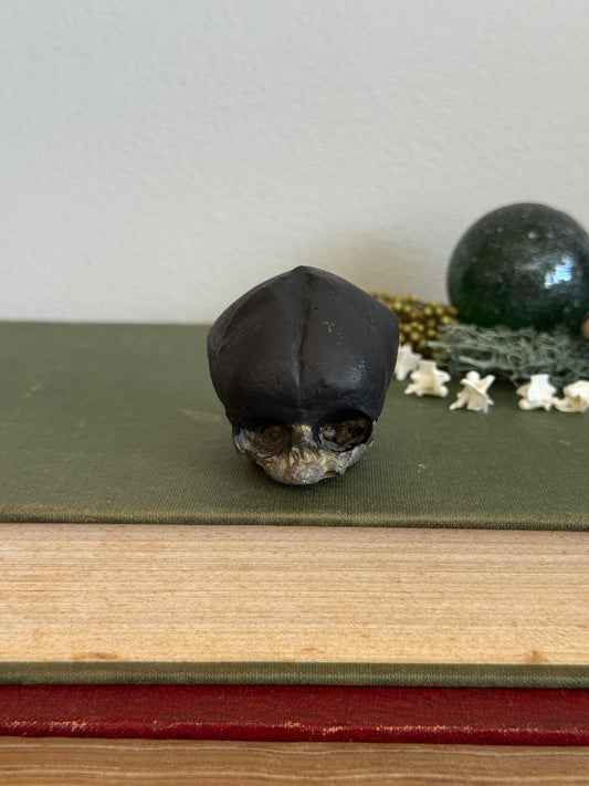 Skull statue - Serpent’s Whisper XXV - VII
