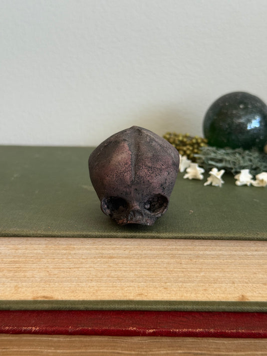Skull statue - Serpent’s Whisper XXV - X
