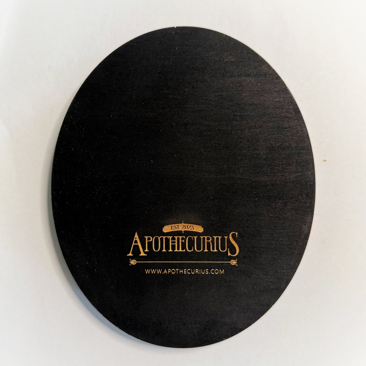 Gothic Wall Art – Hand-Painted Wood, Rib Cage, Heart and Lungs in Black Frame